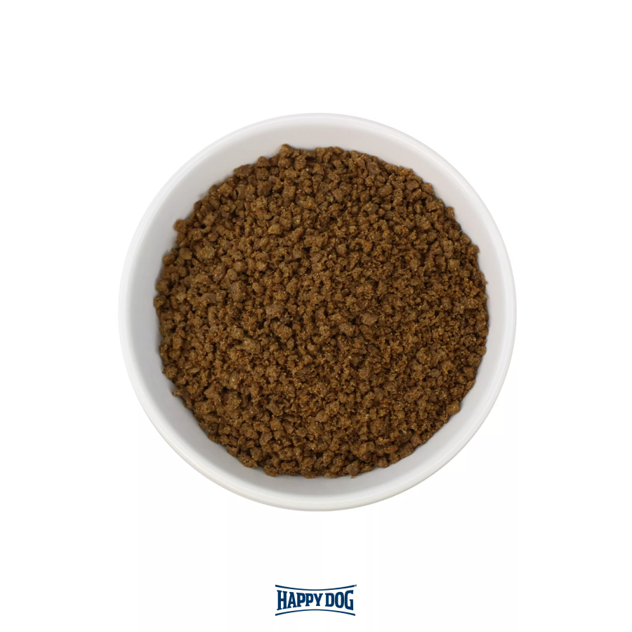 02_Young-Puppy-Starter-Pulver