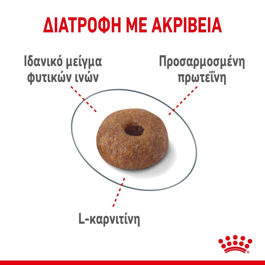 RC-SPT-DRY-LightWeight-CV-3-el_GR