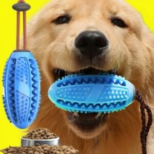 PET INTEREST Hanging Dog Toothbrush