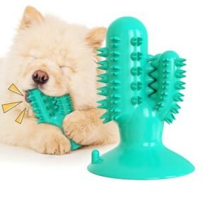 PET INTEREST Squeaker Cactus Dog Toothbrush
