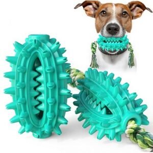 PET INTEREST Cactus Tooth Ball with Rope