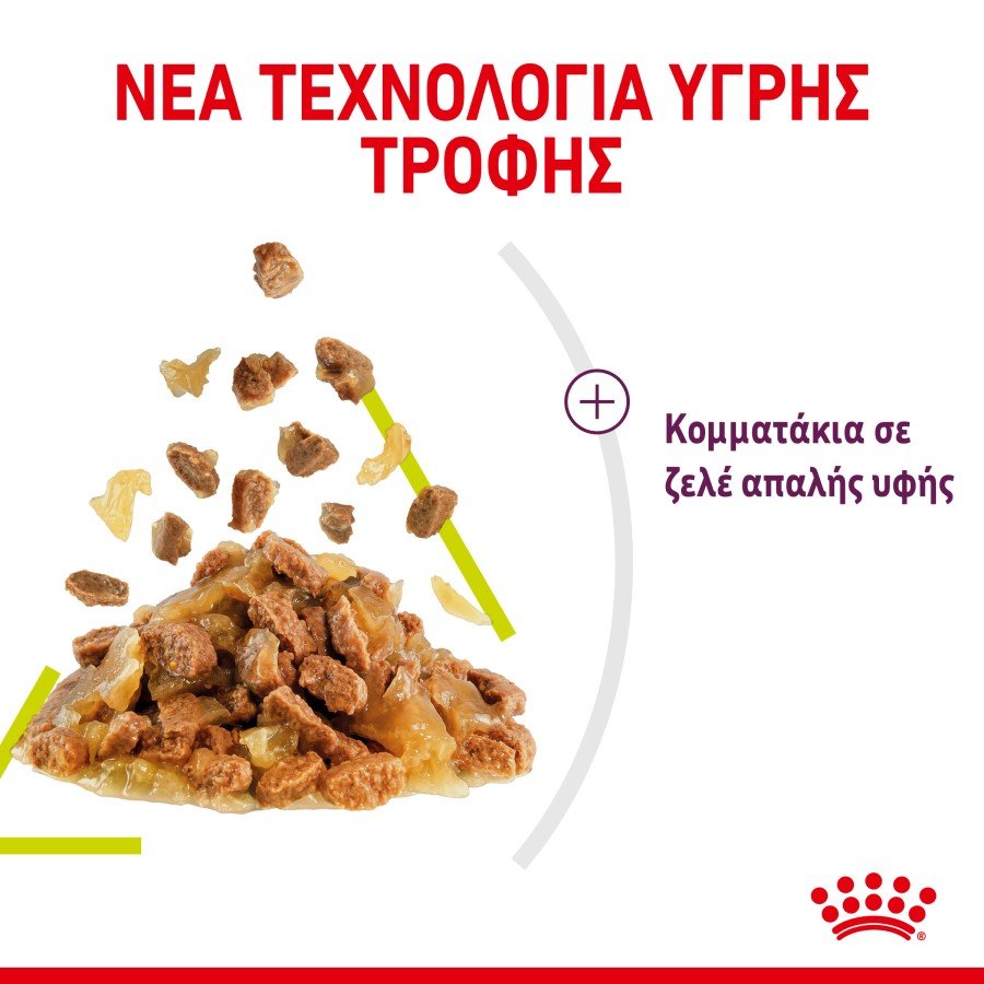 RC-SPT-WET-SensSmellCIJ-CV-3-el_GR